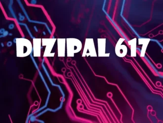 Dizipal 617